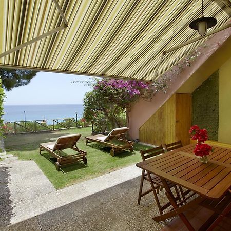 Pinus Village Sea Front Apartment Пула Екстериор снимка